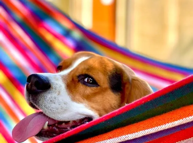 Ξενοδοχείο Pop аrt