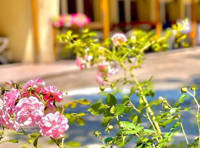 Pop аrt Πριμόρσκο