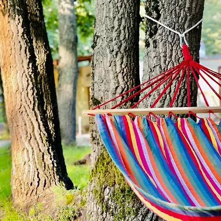 Pop аrt プリモルスコ