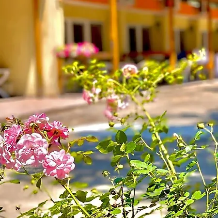Hotel Pop аrt Primorsko